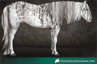 Horse Color:Liver Chestnut Sabino Rabicano  and Chocolate Palomino Pearl Sabino Appaloosa Rabicano 
