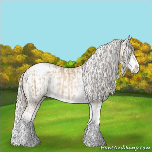Horse Color:Chocolate Palomino Pearl Sabino Appaloosa Rabicano  and Cremello Sabino Appaloosa Rabicano 