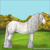 Horse Color:Chocolate Palomino Pearl Sabino Appaloosa Rabicano  and Cremello Sabino Appaloosa Rabicano 
