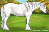 Horse Color:Platinum Chocolate Palomino Pearl Sabino Appaloosa Rabicano  and Platinum Gold Cream Champagne Pearl Sabino Appaloosa Rabicano 