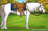 Horse Color:Chocolate Black Pearl Sabino Appaloosa Rabicano  and Chocolate Black Pearl Sabino Appaloosa Rabicano 