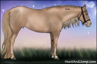 Horse Color:Liver Chestnut Pearl  and Liver Chestnut Pearl Rabicano 