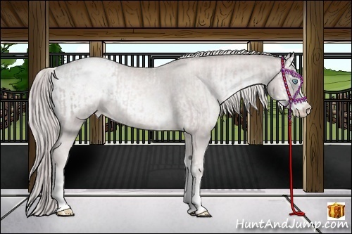 Horse Color:Platinum White Spotted Chocolate Palomino Pearl Sabino Snowcap Rabicano and Platinum Chocolate Palomino Pearl Onyx Sabino Snowcap Rabicano