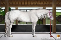 Horse Color:Platinum White Spotted Chocolate Palomino Pearl Sabino Snowcap Rabicano and Platinum Chocolate Palomino Pearl Onyx Sabino Snowcap Rabicano