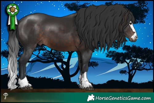 Horse Color:Brown Mushroom 