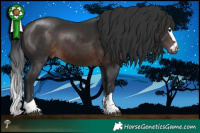 Horse Color:Brown Mushroom 
