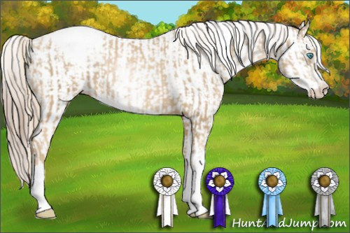 Horse Color:Chocolate Palomino Pearl Sabino Appaloosa Rabicano  and Gray Chocolate Palomino Pearl Sabino Appaloosa Rabicano 