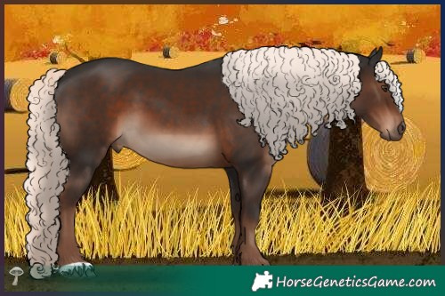 Horse Color:Liver Chestnut Mushroom 