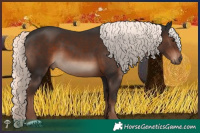 Horse Color:Liver Chestnut Mushroom 