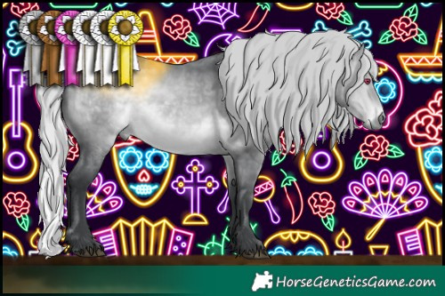 Horse Color:Silver Bay Chinchilla 