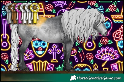 Horse Color:Silver Bay Chinchilla 