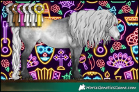 Horse Color:Silver Bay Chinchilla 