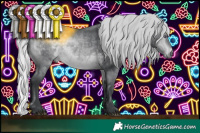 Horse Color:Silver Bay Chinchilla