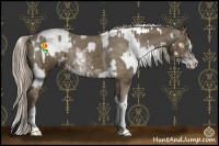 Horse Color:Chocolate Palomino Pearl Sabino Appaloosa Rabicano  and Chocolate Palomino Sabino Appaloosa Rabicano 