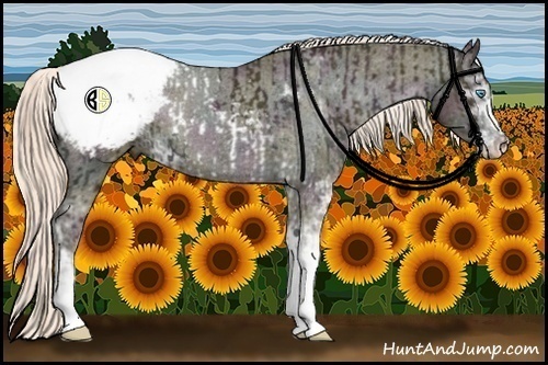 Horse Color:Midnight Chocolate Palomino Pearl Sabino Appaloosa Rabicano  and Midnight Chocolate Palomino Pearl Sabino Appaloosa Rabicano 