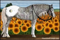 Horse Color:Midnight Chocolate Palomino Pearl Sabino Appaloosa Rabicano  and Midnight Chocolate Palomino Pearl Sabino Appaloosa Rabicano 