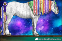 Horse Color:Painted Silver Grullo Chinchilla Rabicano  and Painted Chocolate Palomino Chinchilla Pearl Sabino Appaloosa Rabicano 