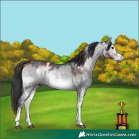 Horse Color:Gray Platinum White Spotted Chocolate Brown Onyx Rabicano  and Platinum Buckskin Dun Sabino Rabicano 