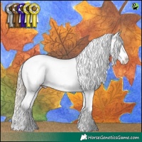 Horse Color:White Spotted Classic Cream Champagne Pearl Appaloosa  and White Spotted Chocolate Palomino Pearl Appaloosa 