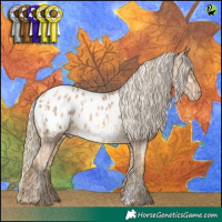 Horse Color:White Spotted Classic Cream Champagne Pearl Appaloosa  and White Spotted Chocolate Palomino Pearl Appaloosa 