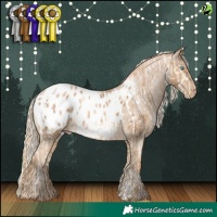 Horse Color:White Spotted Classic Cream Champagne Pearl Appaloosa  and White Spotted Chocolate Palomino Pearl Appaloosa 