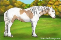 Horse Color:White Spotted Sable Champagne Rabicano  and Chocolate Palomino Pearl Sabino Varnish Rabicano 