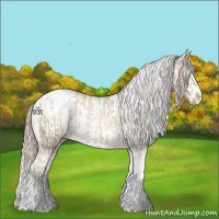 Horse Color:Chocolate Palomino Pearl Sabino Appaloosa Rabicano  and Chocolate Palomino Pearl Sabino Appaloosa 
