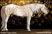 Horse Color:Liver Chestnut Pearl Sabino Appaloosa Rabicano  and Brown Pearl Dun Sabino Tobiano Appaloosa Rabicano 