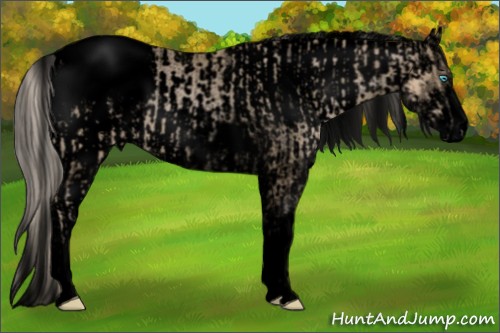 Horse Color:Void Chocolate Palomino Pearl Sabino Appaloosa Rabicano  and Void Chocolate Palomino Pearl Sabino Appaloosa Rabicano 