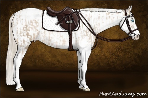 Horse Color:Chocolate Palomino Pearl Sabino Appaloosa Rabicano  and Palomino Pearl Sabino Appaloosa Rabicano 