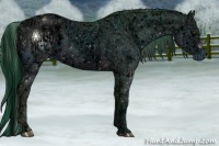 Horse Color:ERROR: UNKNOWN ANOMALY and ERROR: UNKNOWN ANOMALY