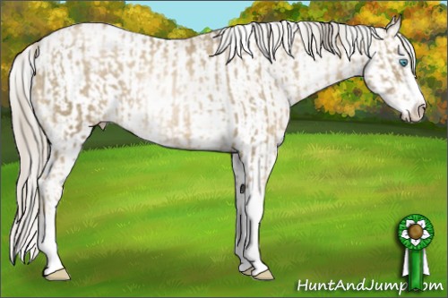 Horse Color:Chocolate Palomino Pearl Sabino Appaloosa Rabicano  and Chocolate Palomino Pearl Sabino Appaloosa Rabicano 