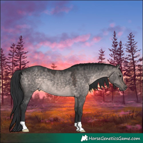 Horse Color:Platinum Brown Dun 