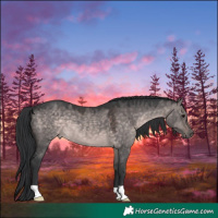 Horse Color:Platinum Brown Dun 