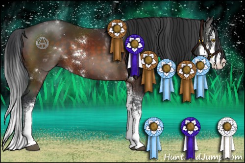 Horse Color:Brown Sabino 