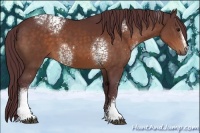 Horse Color:White Spotted Chocolate Brown 