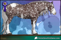 Horse Color:Platinum White Spotted Chocolate Silver Brown Snowcap