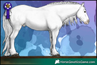 Horse Color:Platinum White Spotted Chocolate Silver Brown Appaloosa 