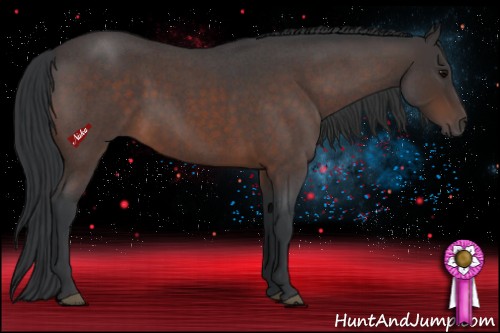 Horse Color:Brown Roan 