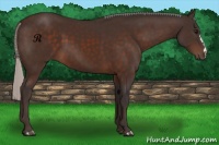 Horse Color:Silver Brown 