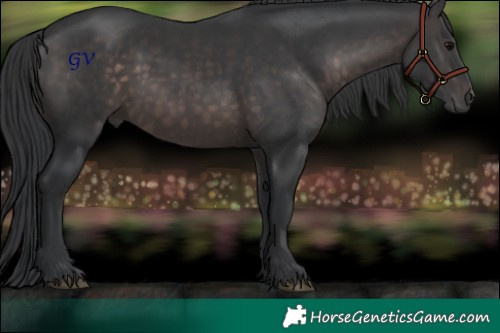 Horse Color:Platinum Brown 