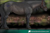 Horse Color:Platinum Brown 