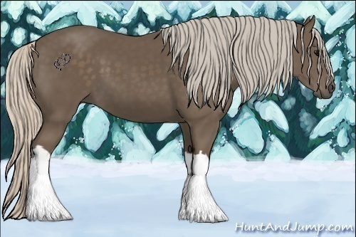 Horse Color:Silver Black 