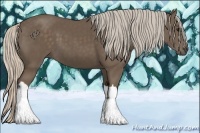Horse Color:Silver Black