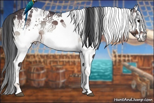 Horse Color:White Spotted Brown Onyx Splash