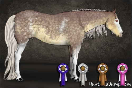 Horse Color:White Spotted Chocolate Silver Smoky Blue Chinchilla Roan