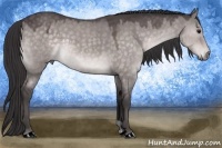 Horse Color:Platinum Buckskin Dun 