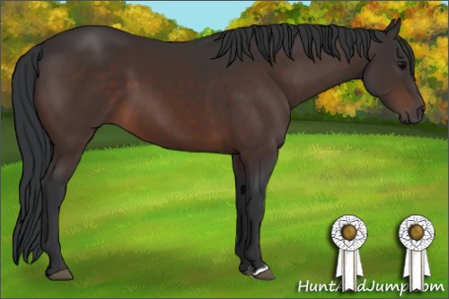 Horse Color:Brown 