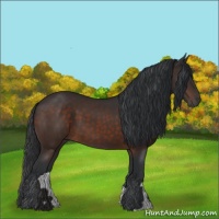 Horse Color:Brown 