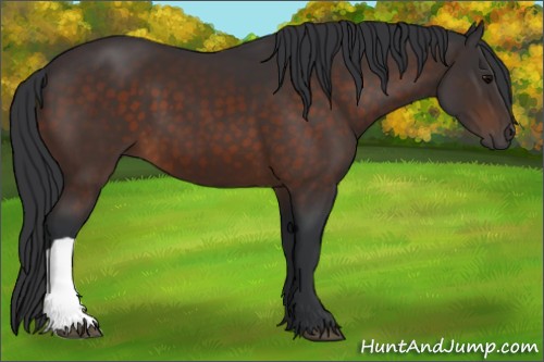 Horse Color:Brown 